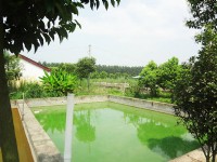 企業(yè)環(huán)境